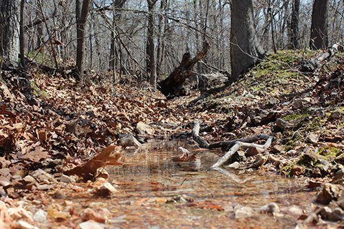 Tract 6 - Spring Water - OKLAHOMA LAND & REAL ESTATE AUCTION, 438 +/- Acres offered in 13 Tracts